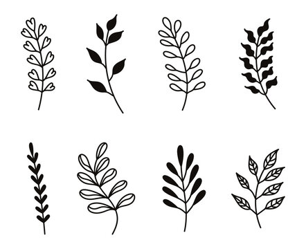 Plant branches with leaves, natural natural elements on a white background, silhouettes, line art, doodle. Bocho chic style. Plant clip art. 
