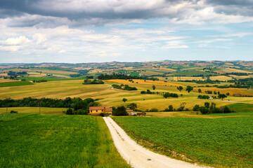 Rural landscape near Cingoli and Appignano, Marche, Italy