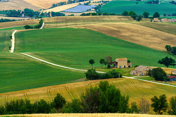 Rural landscape near Cingoli and Appignano, Marche, Italy