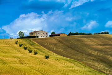 Fototapeta na wymiar Rural landscape near Filottrano and Santa Maria Nuova, Marche, Italy