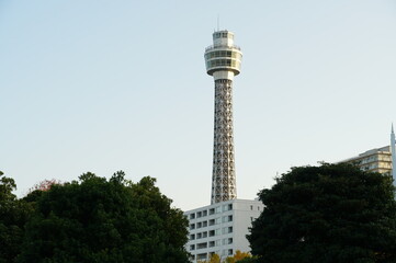 コロナが終わったか？2年は見なかった人がいっぱいいた。つられて山下公園を歩いた。いつも行かないところに見つけた観光スポットか、横浜か、