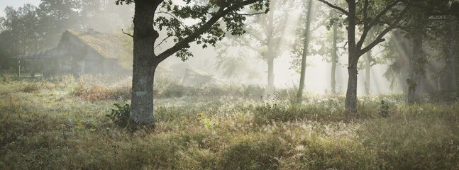 An old abandoned rustic house (cabin) in a fog at sunrise. Sun rays through the oak tree branches....