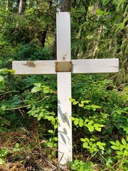  image of a white cross from a grave surrounded by vegetation and nature