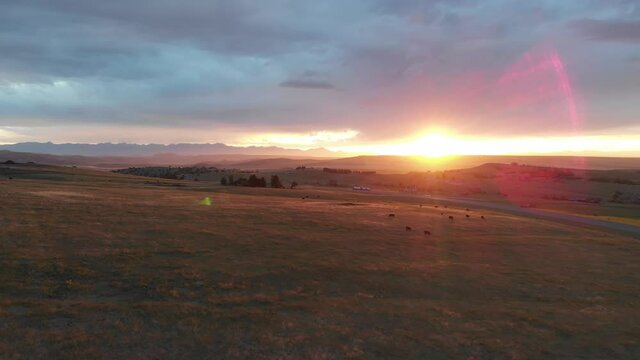 Sunset over ranch fields 