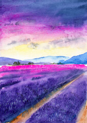 Fototapeta na wymiar Watercolor illustration of purple lavender field with distant blue mountains and colorful purple and pink sunset sky