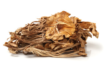 dried mushroom on white background