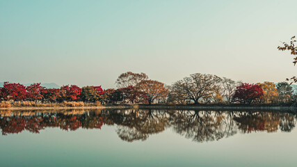 autumn and lake (가을과 호수)