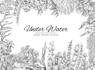 Underwater life banner template, engraved vector illustration on white background.