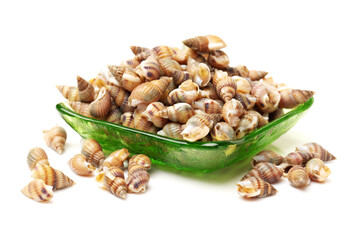 Whelks on white background