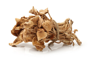 dried mushroom on white background