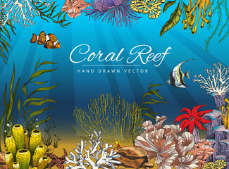 Seabed or ocean bottom with coral reef colony and fishes, colored sketch vector illustration.