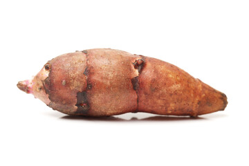 Jerusalem artichoke on a white background