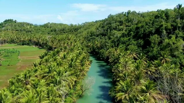 Maron river and lush untouched green forest in Pacitan, Indonesia. Aerial forward
