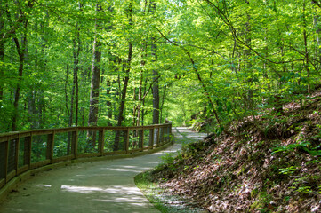 Footpath in the woods, Little Mulberry Park, GA