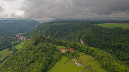 Waldlandschaft