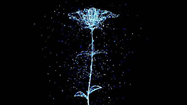3D motion design of an opening flower