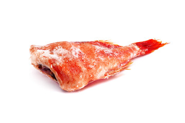 Frozen headless red snapper covered with ice. Frozen redfish isolated on white background 