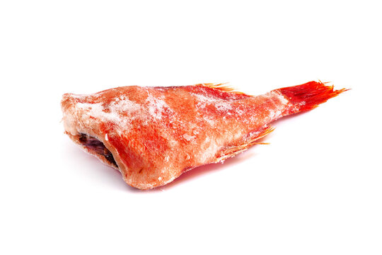 Frozen headless red snapper covered with ice. Frozen redfish isolated on white background 