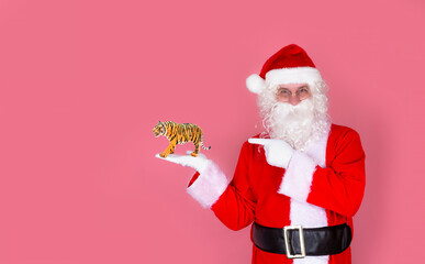Santa Claus holds the symbol of the year 2022 toy Tiger in the palm of his hand. Isolate on a pink background