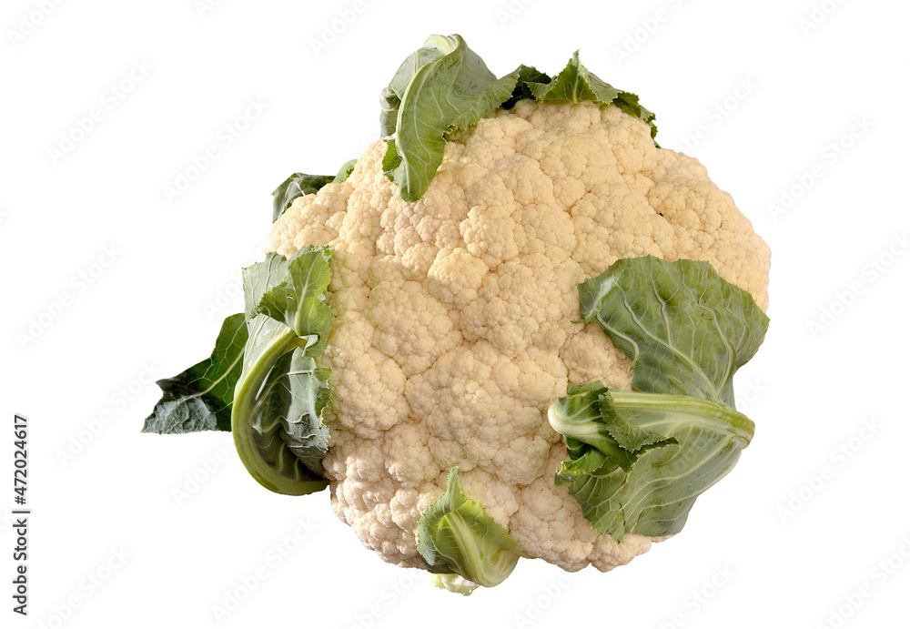 Wall mural cauliflower head with branch on white background - Wall murals