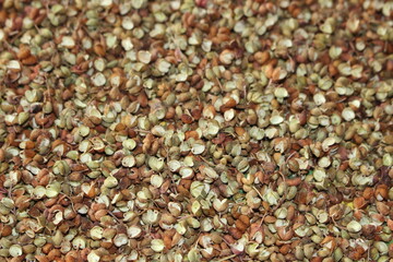 일상에서 만나는 맛있는 음식들
Delicious foods in everyday life