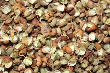 일상에서 만나는 맛있는 음식들
Delicious foods in everyday life