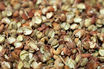 일상에서 만나는 맛있는 음식들
Delicious foods in everyday life