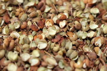 일상에서 만나는 맛있는 음식들
Delicious foods in everyday life