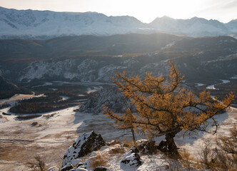 snow covered mountains