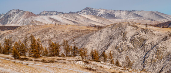 landscape in winter