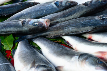 Fish counter with fresh fish