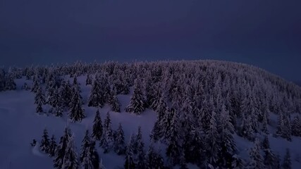 Aerial view of dark snowy forest in cold winter moonlight night nature mysterious