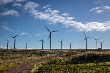wind turbines farm