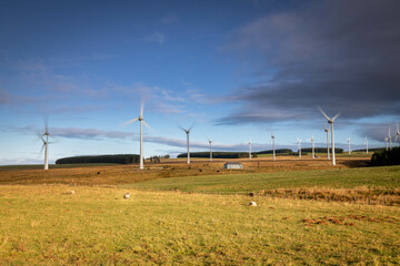 wind turbines in the field