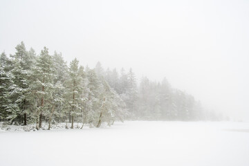 Fototapeta premium Lake with snow and fog by a forest