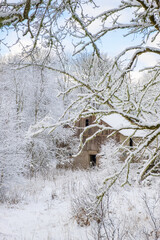 Old aged barn in a beautiful winter woodland