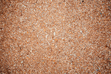 Small seashells on the beach. Shellfish shells. One of the types of beaches. Rest at the sea.