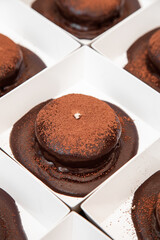 Molten chocolate lava cake with dark chocolate sauce