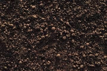 Fertile loam soil suitable for planting, soil texture background.