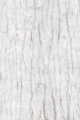 White wooden texture background in vintage style.	
