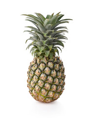 fresh pineapple on white background.