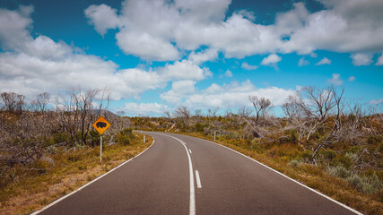 Road sign with Wombat in Australia