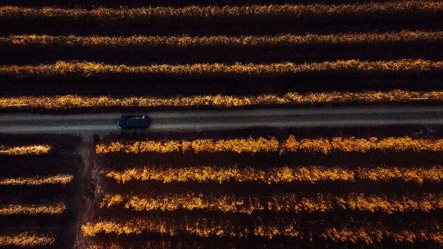 Car moving on road amidst agricultural field