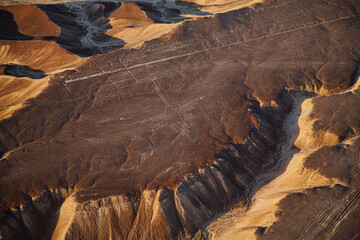 El colibrí, Líneas de Nazca desde el aire, Perú