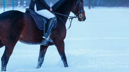 Young woman riding horse in the evening in winter