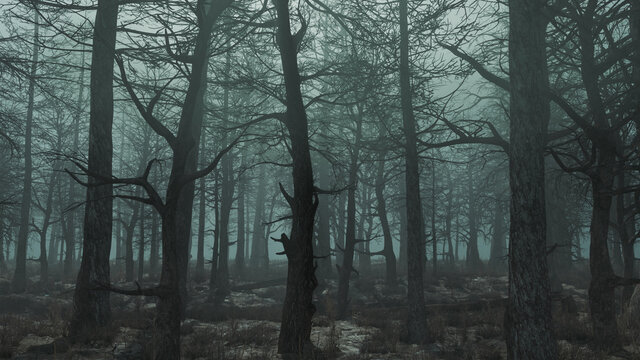 3d render of a gloomy day forest side view © davstudio
