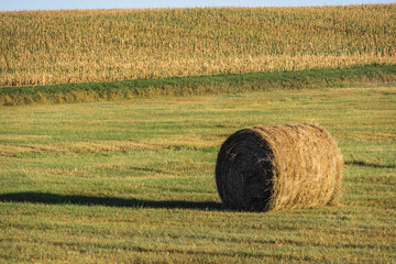 A bale of hay sitting in the field at sunset in the great plains of North Dakota.