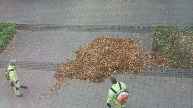 Janitors in bright light green suits remove dry fallen leaves with the help of special wind blowers