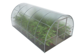 Farm greenhouse for growing plants, fruits, berries, vegetables, flowers. Visualization of a greenhouse with green spaces and mature red tomato fruits. Clipart. 3d rendering