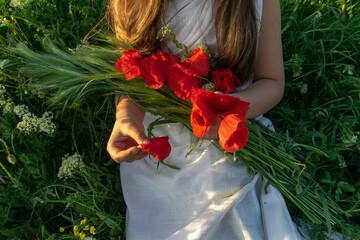 Fototapeta na wymiar A girl in a white dress in her arms holds a bouquet of red poppies and green spike-lets of wheat, in a field of flowers with poppies and white flowers at sunset